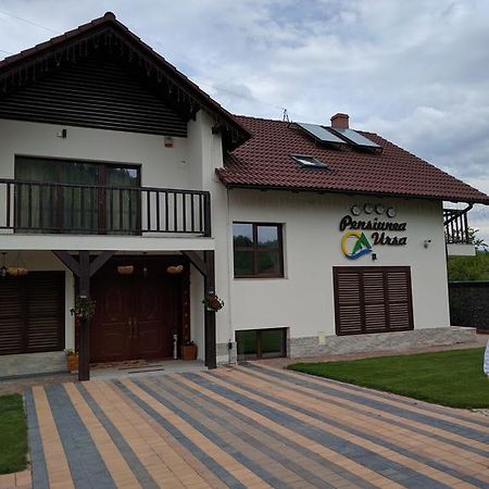 Отель Pensiunea Ursa Bistrita Bargaului Экстерьер фото